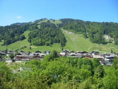 Appartement Morzine 1 pièce 4 personnes - FR-1-524-87 - image 4