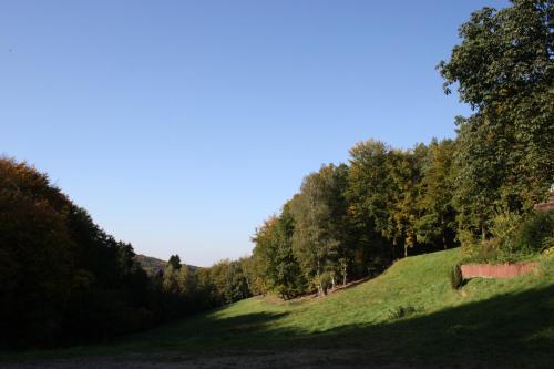 Wald-Hotel Heppe - image 7