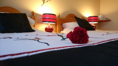 Mount Edward Lodge - image 5
