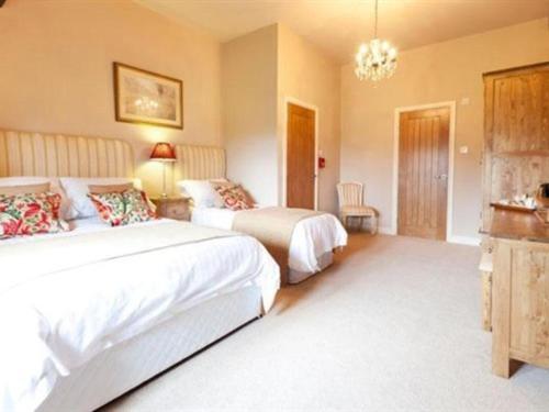 Throstle Nest Farm - image 7