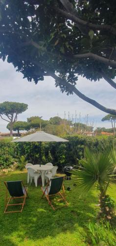  Paolo Tata Reportage casa vacanze Marina di San Nicola in Palo