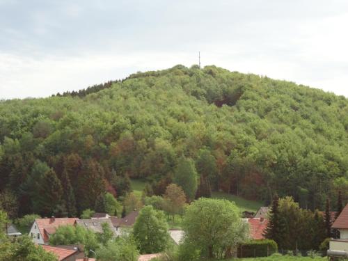 Der Fuchsbau - Fewo LePetit - im sonnigen Harz - Hunde willkommen - 100m bis zum Wald - FREE WLAN