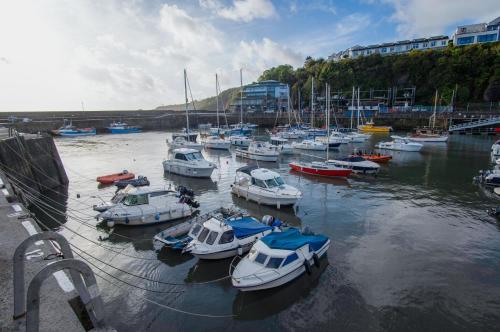 Ocean Cabins No 8 At The Square - Saundersfoot