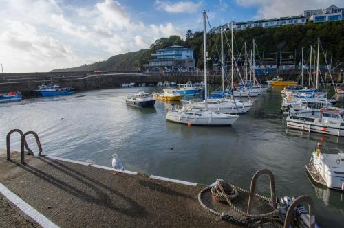 Ocean Cabins No 10 At The Square - Saundersfoot