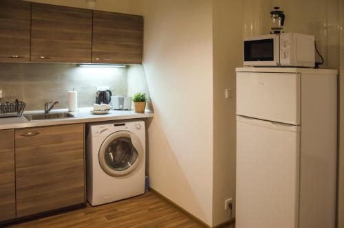 One-Bedroom Apartment image 8