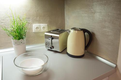 One-Bedroom Apartment image 4