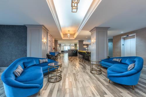 ล็อบบี้, The Simon Hotel Sydney in ซิดนีย์ (NS)