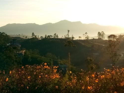 Tranquil Ridge Hilltop Bungalow