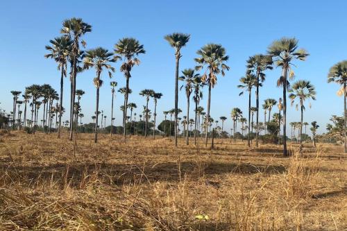 Petite maison en bord de mer in Palmarin