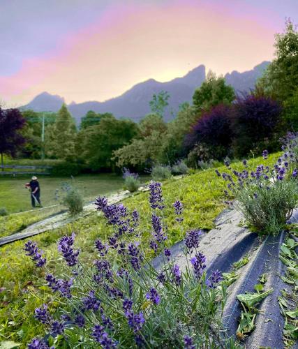 Casa del Piol Fattoria dei fiori