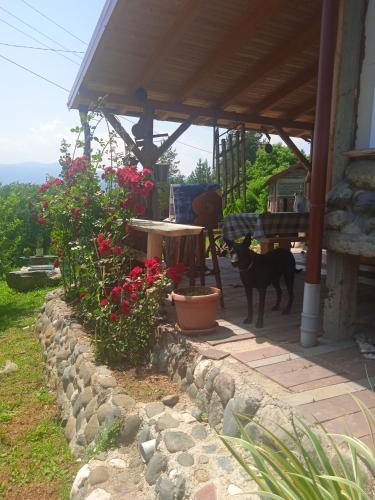 4 bedrooms house with enclosed garden and wifi at Vozuca