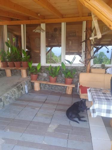 4 bedrooms house with enclosed garden and wifi at Vozuca