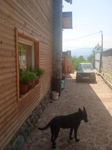 4 bedrooms house with enclosed garden and wifi at Vozuca