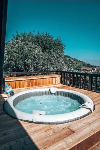 Valdo Cabin in Cisnadioara