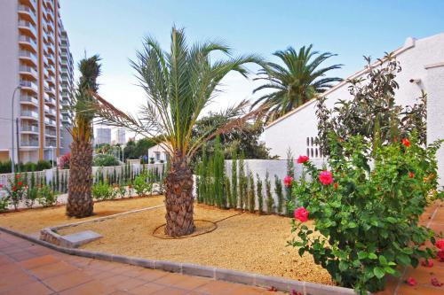 Villa Calalga - Plusholidays - image 9