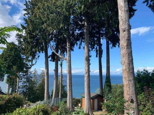 Waterfront eagle nest suite