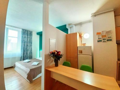Coral Studio Timisoara - image 8