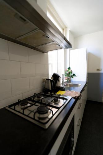 Plantage Hortus Apartments - image 14