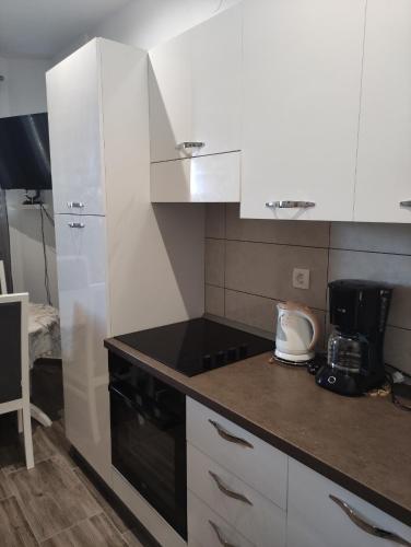 One-Bedroom Apartment image 5
