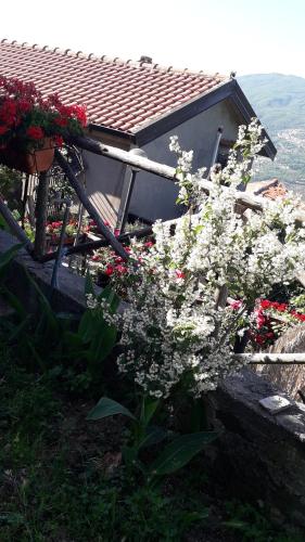 Il giardino del borgo