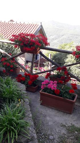 Il giardino del borgo