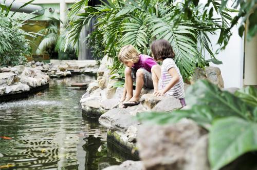 Sunparks Kempense Meren - image 11
