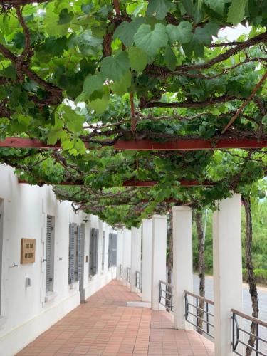 Port Wine Guesthouse Calitzdorp