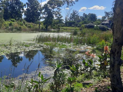 Bella's Rest Guesthouse Bella's Rest Guesthouse