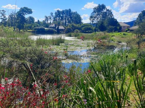 Bella's Rest Guesthouse Bella's Rest Guesthouse