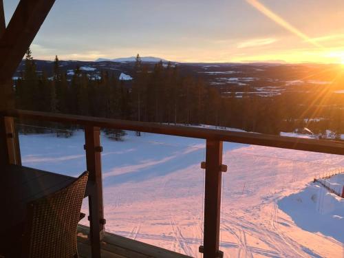 . Björnrike Vemdalen. Mitt i backen