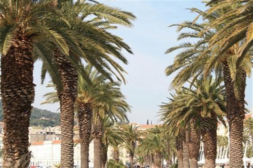 Diocletian Palace Suites, Split (foto 3)