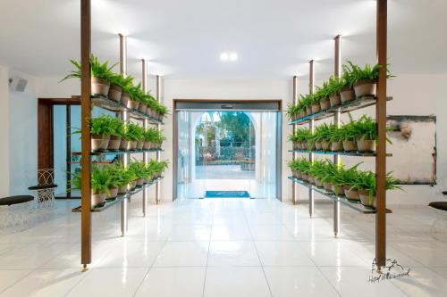 Hotel Villa Durrueli Resort & Spa - image 8