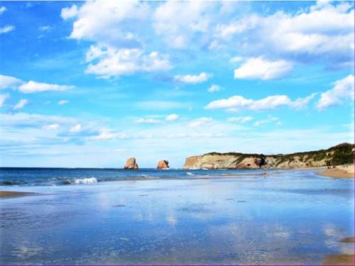 Appartement Hendaye 2 pièces 5 personnes - FR-1-2-302 - image 10