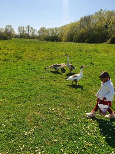 Appartement villers sur mer Appartement villers sur mer