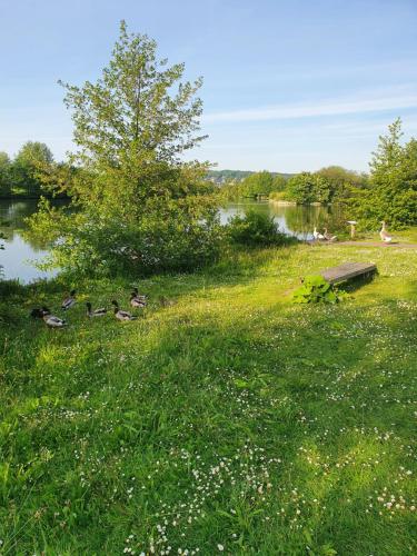 Appartement villers sur mer Appartement villers sur mer