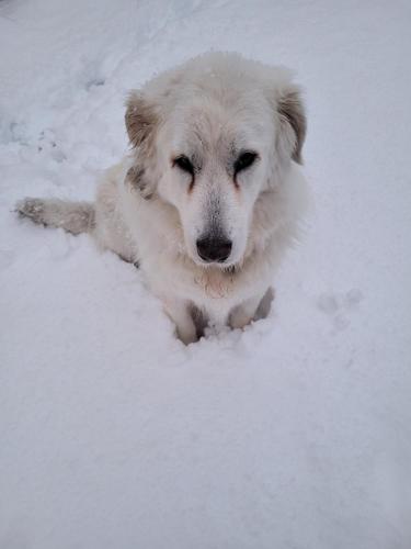  Casa Adélona in Ofena