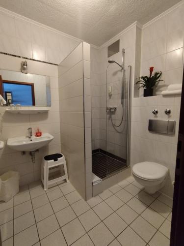 Hotel Sonnenkeller - image 2