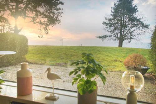 Aussicht, Ferienpark Sierksdorf App 12 - Strandlage in Sierksdorf