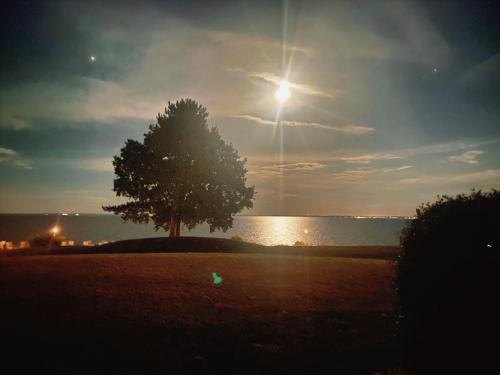 Aussicht, Ferienpark Sierksdorf App 12 - Strandlage in Sierksdorf