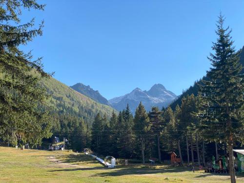 Sports un aktivitātes, Hotel Alpinist, Malyovitsa in Rilski Manastir