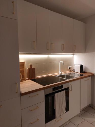 廚房, Hyggelige und zentrale Eigentumswohnung in 羅斯托克市中心