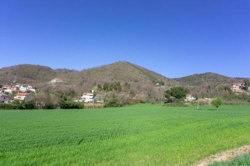 Le Colline di Giulia - Mini Casa ai piedi della collina