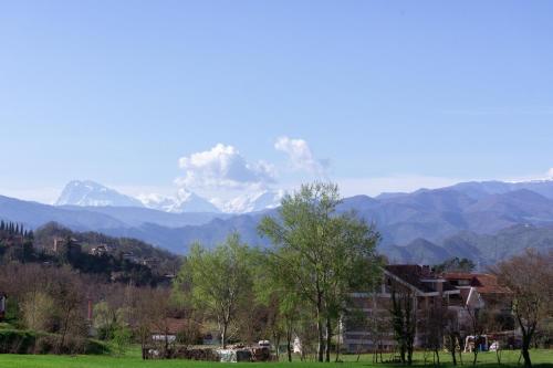 Le Colline di Giulia - Mini Casa ai piedi della collina