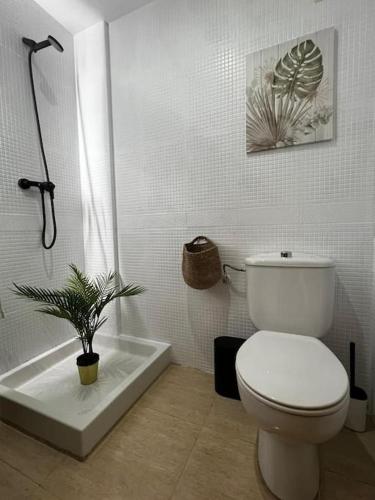 ห้องน้ำ, Vivienda Oasis Murcia in เอลปุนตัล