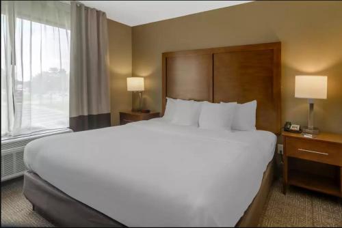 Comfort Inn & Suites Peachtree Corners - Norcross - image 6