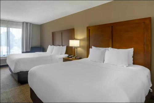 Comfort Inn & Suites Peachtree Corners - Norcross - image 11