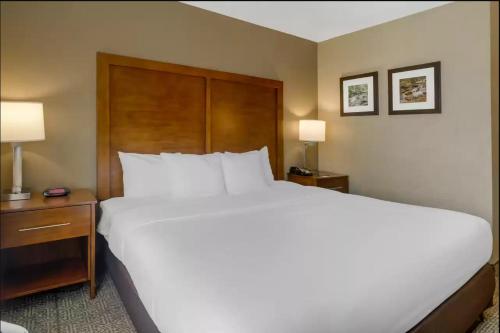 Comfort Inn & Suites Peachtree Corners - Norcross - image 8