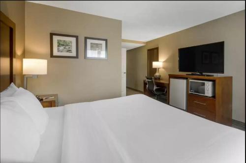 Comfort Inn & Suites Peachtree Corners - image 7