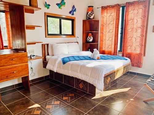 Mariposa Jungle Lodge