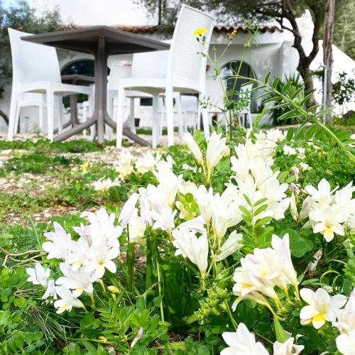Il Salice b&b - image 14